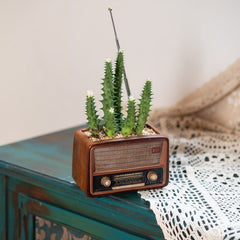 Radio-shaped decorative flowerpot