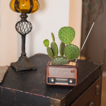 Radio-shaped decorative flowerpot