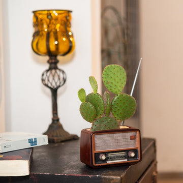 Radio-shaped decorative flowerpot