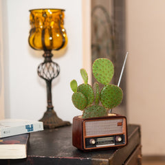 Radio-shaped decorative flowerpot