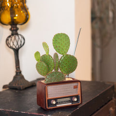 Radio-shaped decorative flowerpot