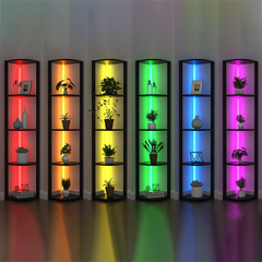 5-Tier RGB Bookshelf Illuminate Corner