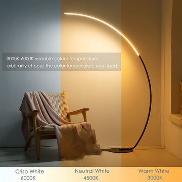 RGBW Indoor Curve Floor Lamp