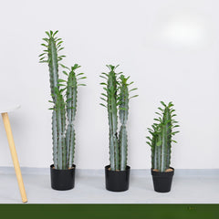 Artificial Cactus Column Potted Tropical Plant