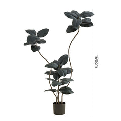 Artificial Green Plant Black Gold Rubber Tree