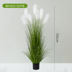 Simulation Green Plants High-End Feel Reed and Foxtail Plant Potted Plant