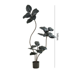 Artificial Green Plant Black Gold Rubber Tree