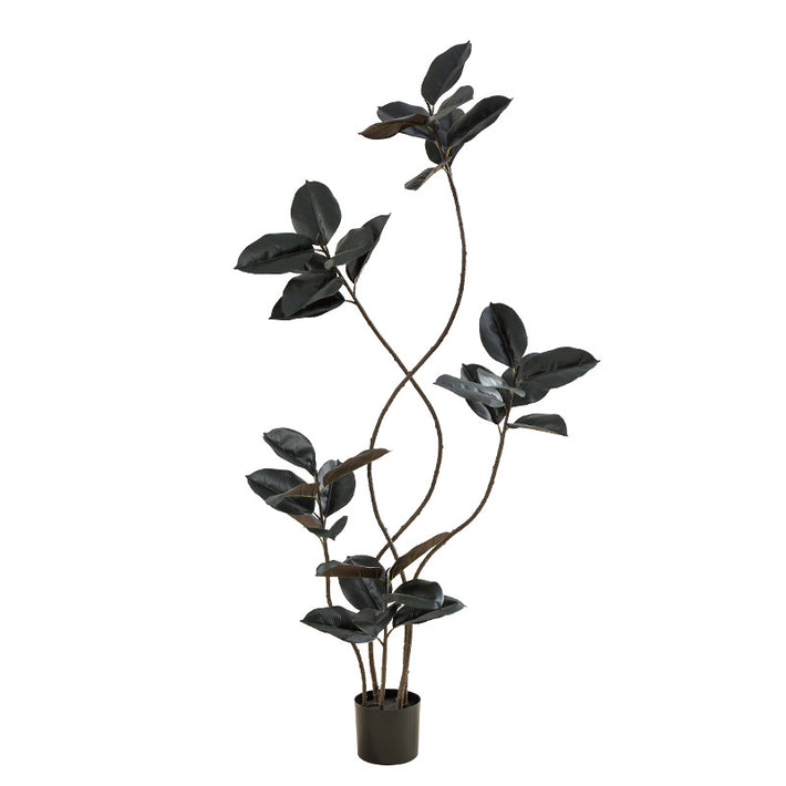 Artificial Green Plant Black Gold Rubber Tree