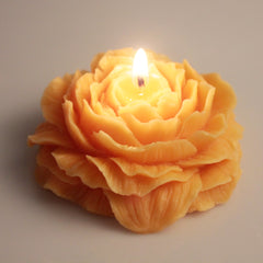 Penoy Flower Scented Candle (2 Colors / Pack)