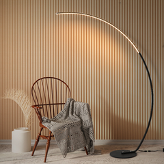 RGBW Indoor Curve Floor Lamp