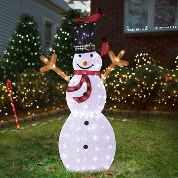 Pre-lit Snowman and Birds for Christmas Indoor & Outdoor Decor