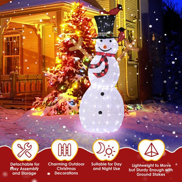 Pre-lit Snowman and Birds for Christmas Indoor & Outdoor Decor